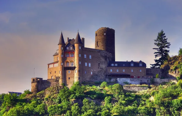 Picture trees, castle, Germany, hill