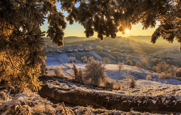 Picture winter, the sun, rays, snow, trees, landscape, mountains, branches