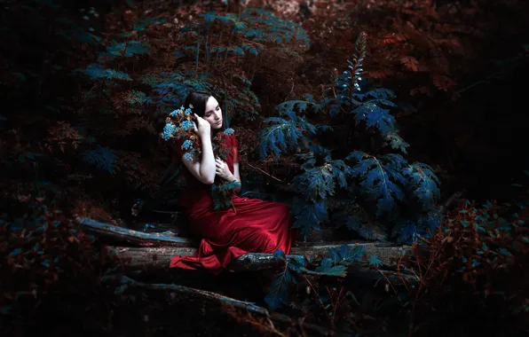 Forest, girl, dress, Ronny Garcia