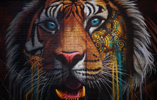 Colorful, wall, Tiger, texture, bricks, animal, artwork, wild cat