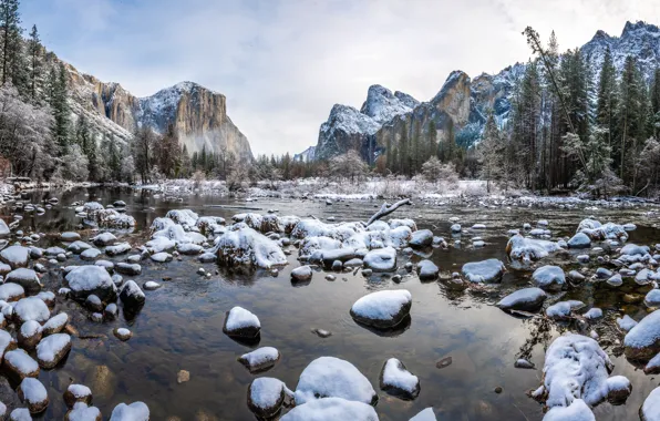 Winter, nature, Yosemite National Park