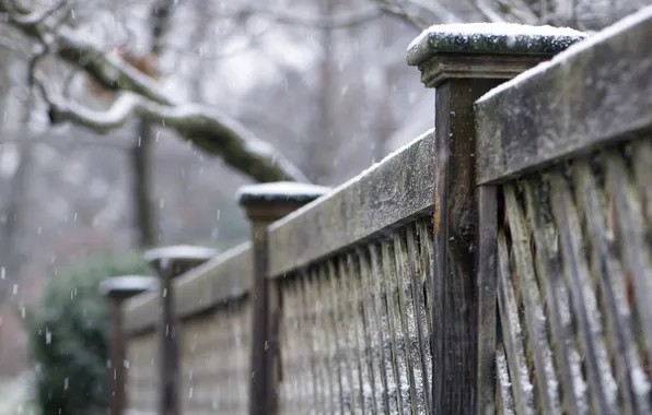 Snow, the city, the fence