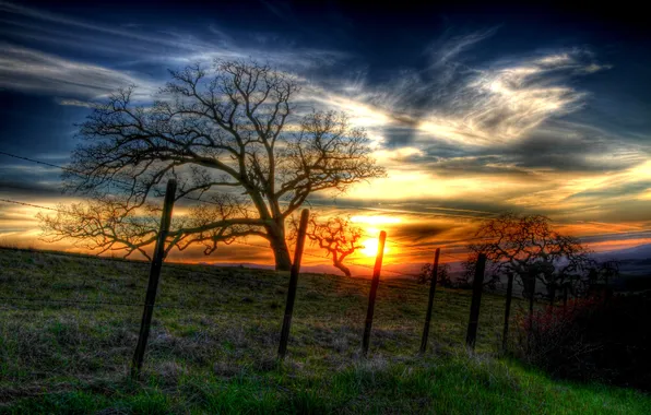 The sky, grass, trees, sunset, glade, meadow, hdr, fence
