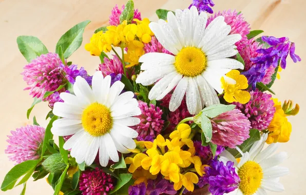 Picture flowers, chamomile, bouquet, yellow, clover, pink