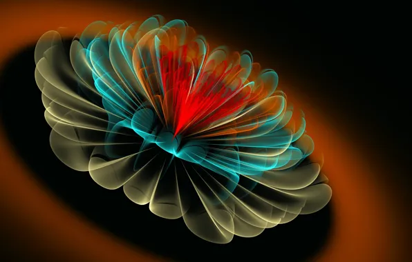 Picture flower, line, shadow, petals, fractal