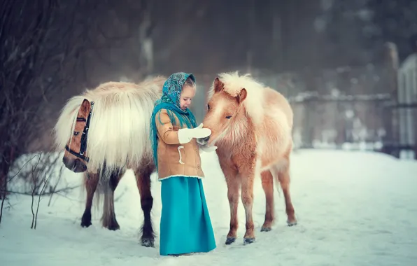 Winter, snow, girl, pony, shawl, horses