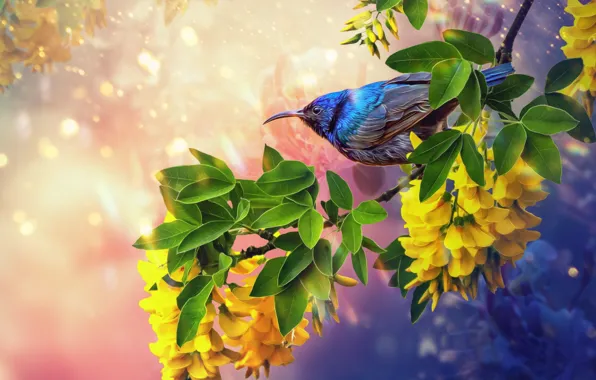 Flowers And Birds Wallpapers  Wallpaper Cave
