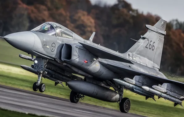 Lantern, Gripen, Landing, The rise, JAS 39, WFP, Chassis, Cockpit