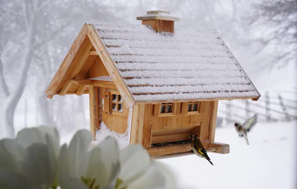 Winter, snow, flowers, birds, bird, wooden, birdhouse, house