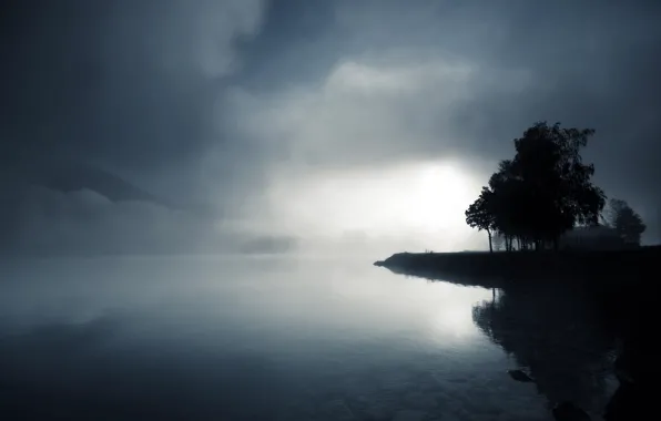 Picture water, trees, fog, lake, stones, hills, twilight, black and white