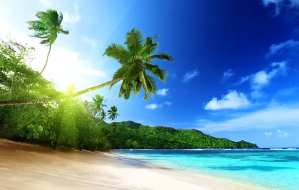 Picture The sky, Tropics, Landscape, Coast, Mahe island in Seychelles