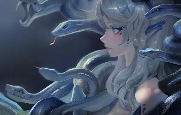 Snakes, Gray hair, Blue Eyes, Anime Devshuka