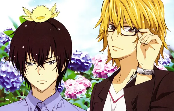 Glasses, jacket, art, hydrangea, bangs, two guys, Katekyo Hitman Reborn!, chick