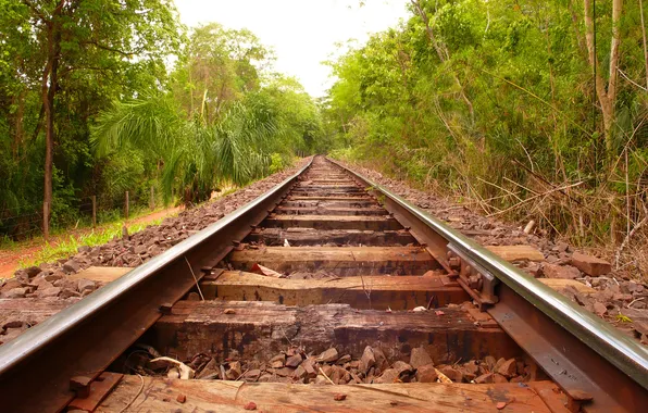 Greens, trees, the way, stones, rails, the fence, railroad, the distance