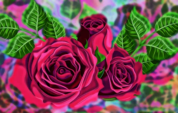 Graphics, flowers, Roses
