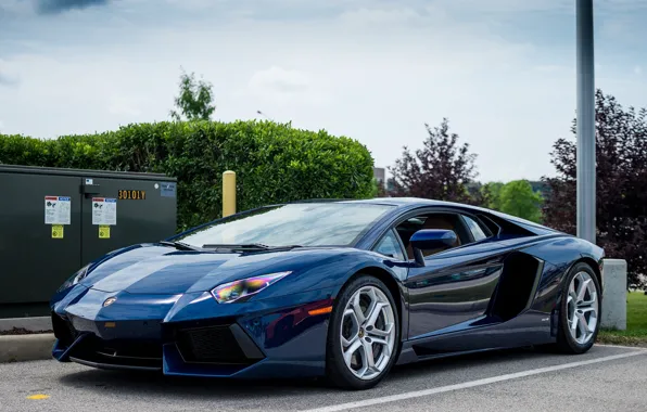 Lamborghini, Blue, Aventador, Parking