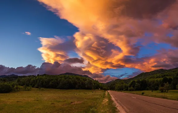 Road, field, forest, summer, the sky, grass, clouds, landscape