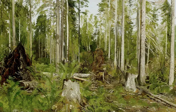 Trees, thickets, picture, painting, Shishkin, Pine forest