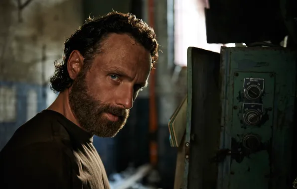 The Walking Dead, Andrew Lincoln, the role, Season-5