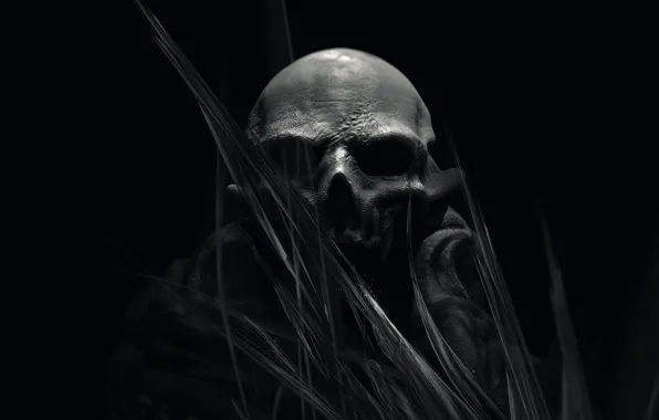 Picture fiction, skull, art, black background