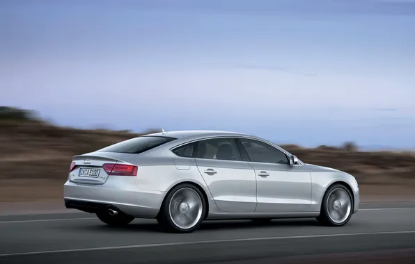 Picture Audi, Silver, A5 Sportback