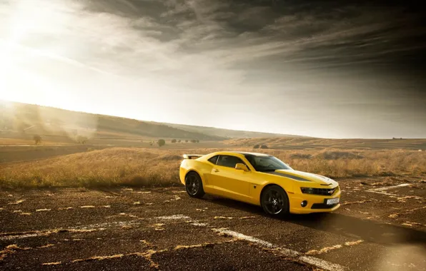 Picture Chevrolet, Muscle, Camaro, Car, Sun, Yellow, Bumblebee, Edition