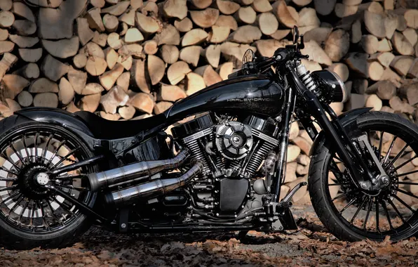 Picture motorcycle, bike, Harley Davidson