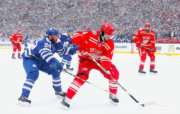 The game, Snow, Sport, Ice, Ice, Detroit, NHL, NHL