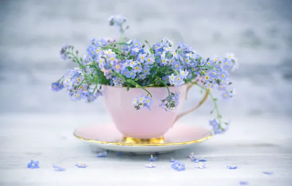 Picture style, mug, Cup, a bunch, forget-me-nots