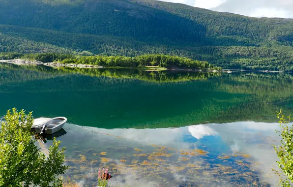 Greens, forest, the sun, trees, mountains, river, shore, boat