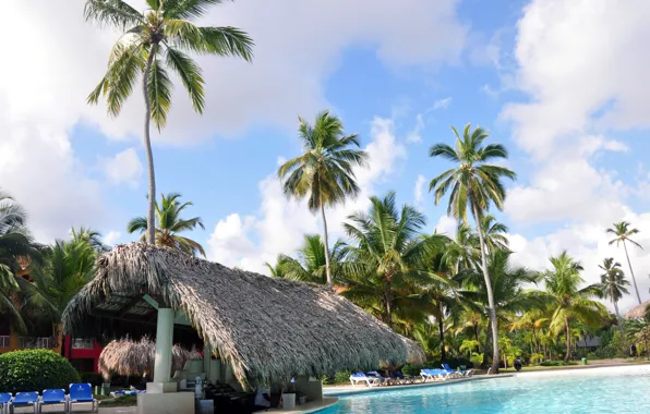 Palm trees, bar, pool, resort, Dominican Republic