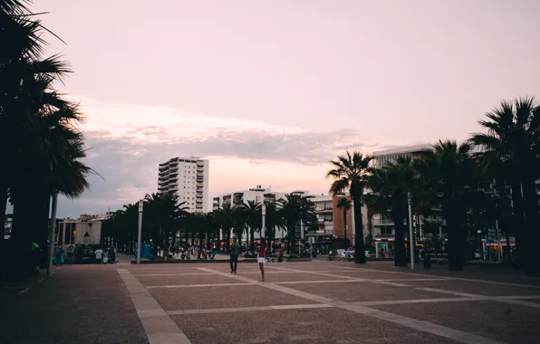 Palm trees, Spain, Salou