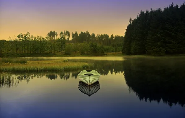 Picture forest, lake, dawn, boat
