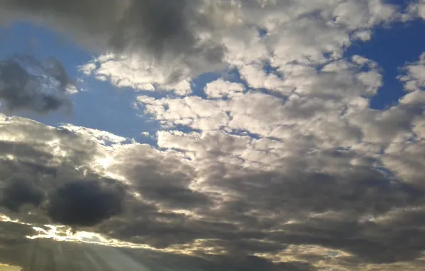 Summer, the sky, cloud