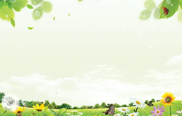 Picture summer, good mood, beautiful Wallpaper, green meadow, flowers in the meadow