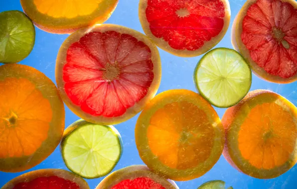 Picture lemon, orange, ring, slice, citrus, grapefruit