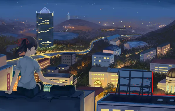 The sky, girl, clouds, the city, lights, home, the evening, anime