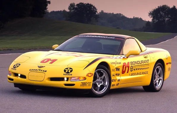 Road, trees, yellow, background, Corvette, Chevrolet, Chevrolet, supercar