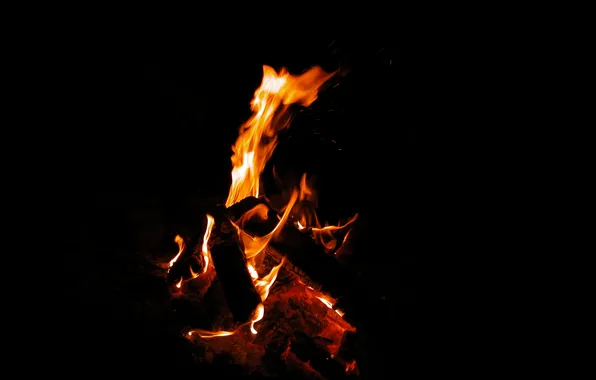 Picture demon, fire, flame, night, campfire