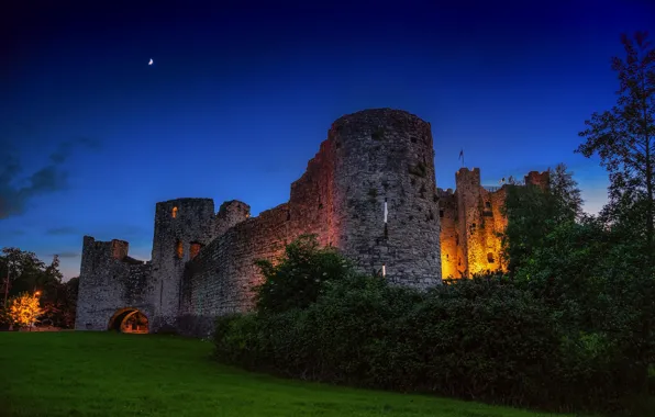 Greens, the sky, grass, trees, lights, castle, wall, the evening