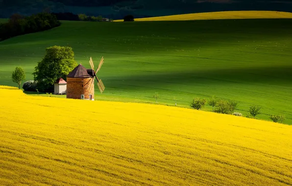 Field, summer, mill, Czech republic, South moravian region, Nemochovice