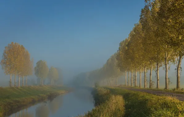 Morning, channel, Netherlands