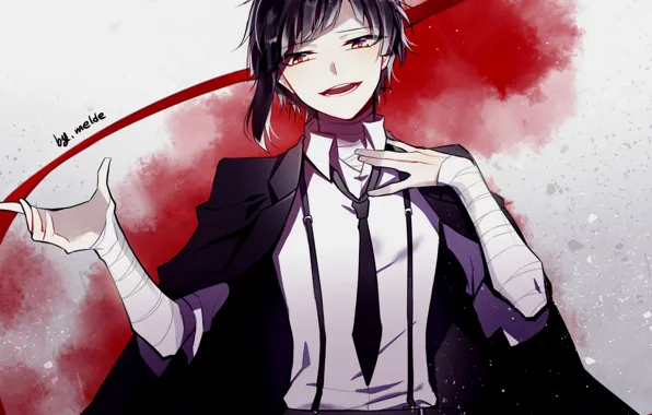 Picture smile, guy, Bungou Stray Dogs, Stray Dogs: A Literary Genius