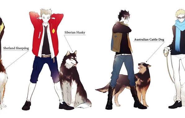Anime, art, guys, volleyball, Haikyuu!!