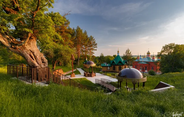 Picture trees, landscape, nature, the monastery, Ilya Garbuzov, Svyato-Vvedenskaya Zhabynskaya Makaryevskaya desert