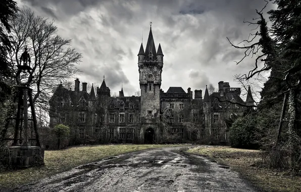 Road, trees, castle, antiquity, spire, History