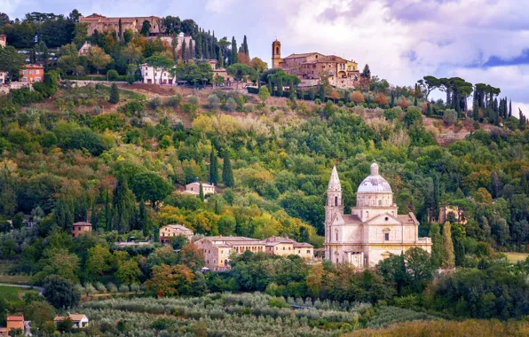 Trees, landscape, home, Italy, Tuscany, Montepulciano