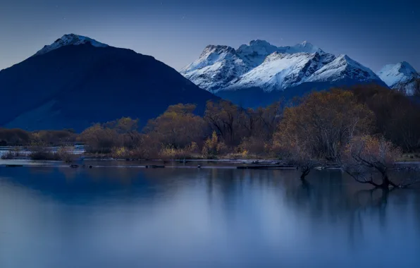 Picture the sky, stars, trees, mountains, night, blue, lake, reflection