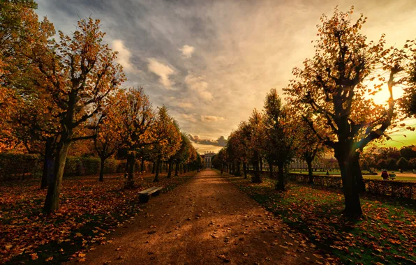 Picture autumn, bench, Park, the evening, alley