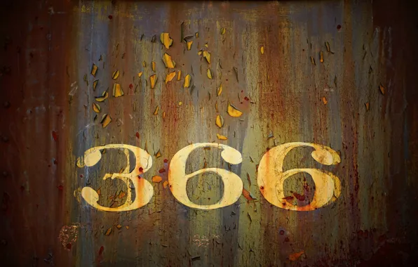 Background, wall, 366
